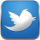 Twitter Social Media Link